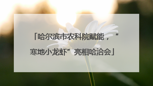 哈尔滨市农科院赋能，“寒地小龙虾”亮相哈洽会