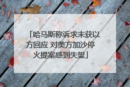 哈马斯称诉求未获以方回应 对美方加沙停火提案感到失望