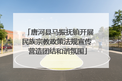 唐河县马振抚镇开展民族宗教政策法规宣传 营造团结和谐氛围