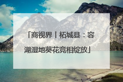 商视界丨柘城县：容湖湿地葵花竞相绽放