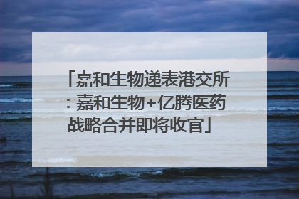 嘉和生物递表港交所：嘉和生物+亿腾医药战略合并即将收官
