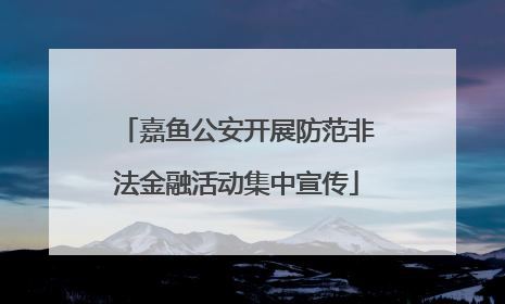 嘉鱼公安开展防范非法金融活动集中宣传