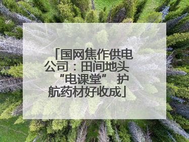 国网焦作供电公司：田间地头“电课堂” 护航药材好收成
