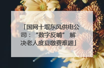 国网十堰东风供电公司：“数字反哺” 解决老人度夏缴费难题