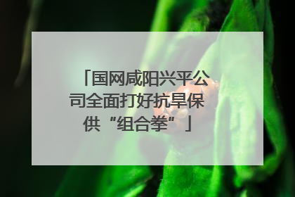 国网咸阳兴平公司全面打好抗旱保供“组合拳”