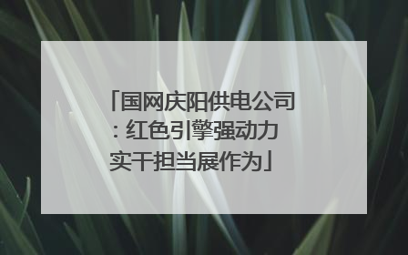 国网庆阳供电公司：红色引擎强动力 实干担当展作为