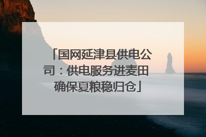 国网延津县供电公司：供电服务进麦田 确保夏粮稳归仓