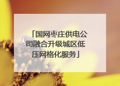 国网枣庄供电公司融合升级城区低压网格化服务