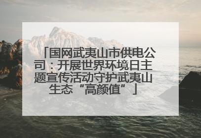 国网武夷山市供电公司：开展世界环境日主题宣传活动守护武夷山生态“高颜值”