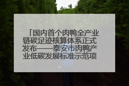 国内首个肉鸭全产业链碳足迹核算体系正式发布——泰安市肉鸭产业低碳发展标准示范项目顺利通过验收