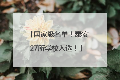 国家级名单！泰安27所学校入选！