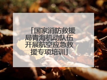 国家消防救援局青海机动队伍开展航空应急救援专项培训