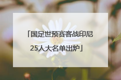 国足世预赛客战印尼25人大名单出炉