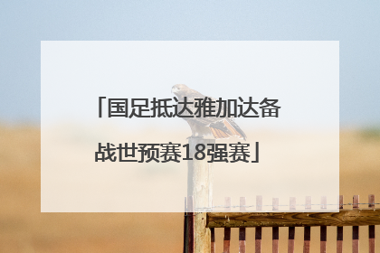 国足抵达雅加达备战世预赛18强赛