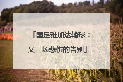 国足雅加达输球:又一场悲伤的告别