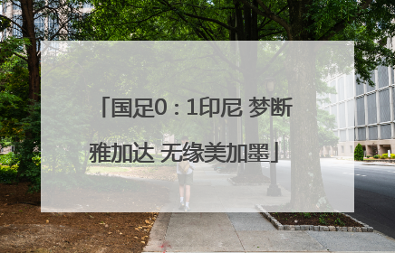 国足0∶1印尼 梦断雅加达 无缘美加墨