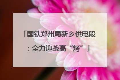 国铁郑州局新乡供电段：全力迎战高“烤”
