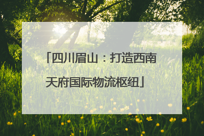 四川眉山：打造西南天府国际物流枢纽
