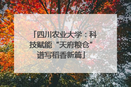 四川农业大学：科技赋能“天府粮仓”谱写稻香新篇