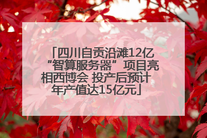 四川自贡沿滩12亿“智算服务器”项目亮相西博会 投产后预计年产值达15亿元