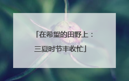 在希望的田野上：三夏时节丰收忙