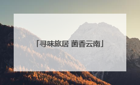 寻味旅居 菌香云南