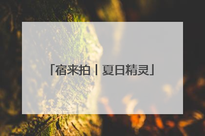 宿来拍丨夏日精灵