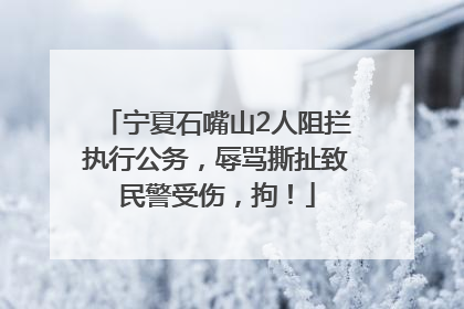 宁夏石嘴山2人阻拦执行公务，辱骂撕扯致民警受伤，拘！
