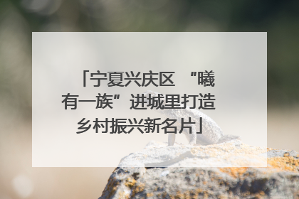 宁夏兴庆区 “曦有一族”进城里打造乡村振兴新名片