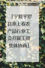 宁夏平罗县塞上春农产品行业工会开展工资集体协商