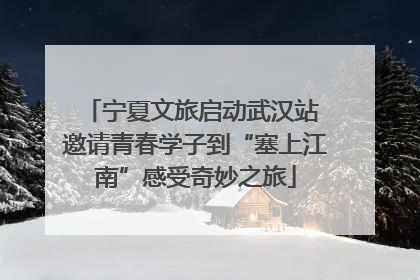 宁夏文旅启动武汉站 邀请青春学子到“塞上江南”感受奇妙之旅