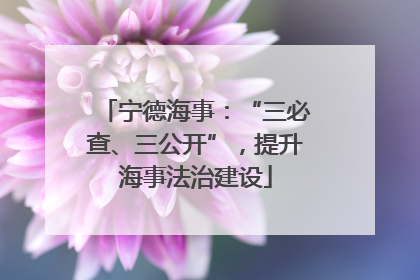 宁德海事：“三必查、三公开”，提升海事法治建设