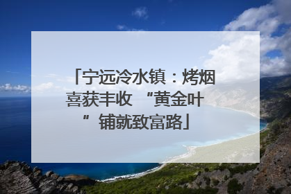 宁远冷水镇：烤烟喜获丰收 “黄金叶”铺就致富路