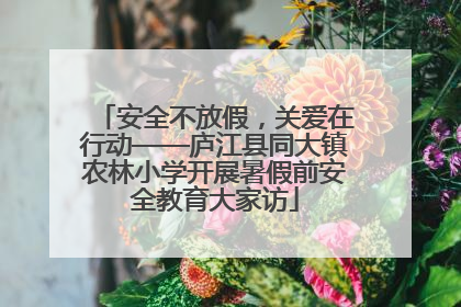 安全不放假，关爱在行动——庐江县同大镇农林小学开展暑假前安全教育大家访