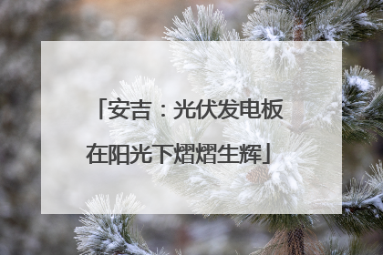 安吉：光伏发电板在阳光下熠熠生辉