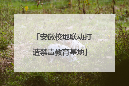 安徽校地联动打造禁毒教育基地