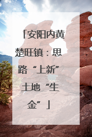 安阳内黄楚旺镇：思路“上新” 土地“生金”