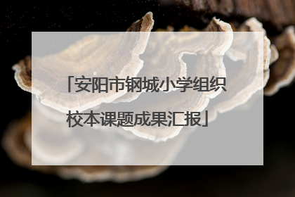 安阳市钢城小学组织校本课题成果汇报