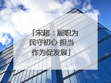 宋超：履职为民守初心 担当作为促发展