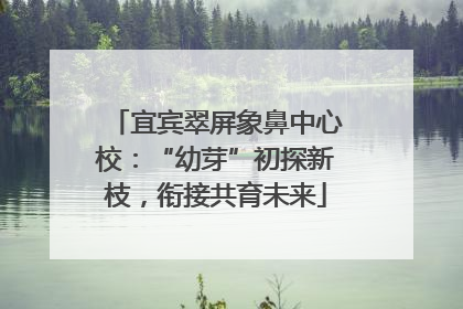 宜宾翠屏象鼻中心校：“幼芽”初探新枝，衔接共育未来