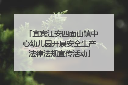 宜宾江安四面山镇中心幼儿园开展安全生产法律法规宣传活动