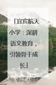 宜宾航天小学：深耕语文教育，引领骨干成长