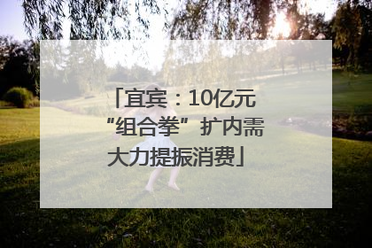 宜宾：10亿元“组合拳”扩内需 大力提振消费