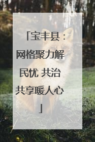 宝丰县：网格聚力解民忧 共治共享暖人心