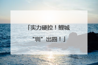 实力硬控！鲤城“圳”出圈！