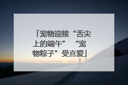 宠物迎接“舌尖上的端午” “宠物粽子”受喜爱