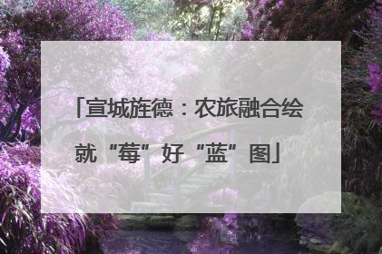 宣城旌德：农旅融合绘就“莓”好“蓝”图