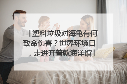 塑料垃圾对海龟有何致命伤害？世界环境日，走进开普敦海洋馆