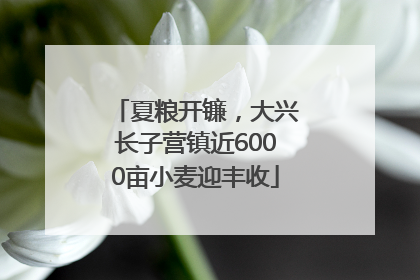 夏粮开镰，大兴长子营镇近6000亩小麦迎丰收