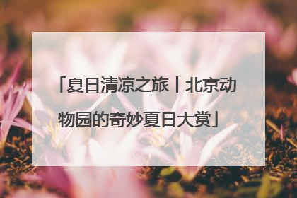 夏日清凉之旅丨北京动物园的奇妙夏日大赏